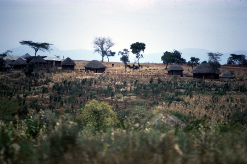 宮本常一 in kenya