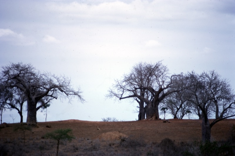 宮本常一 in kenya