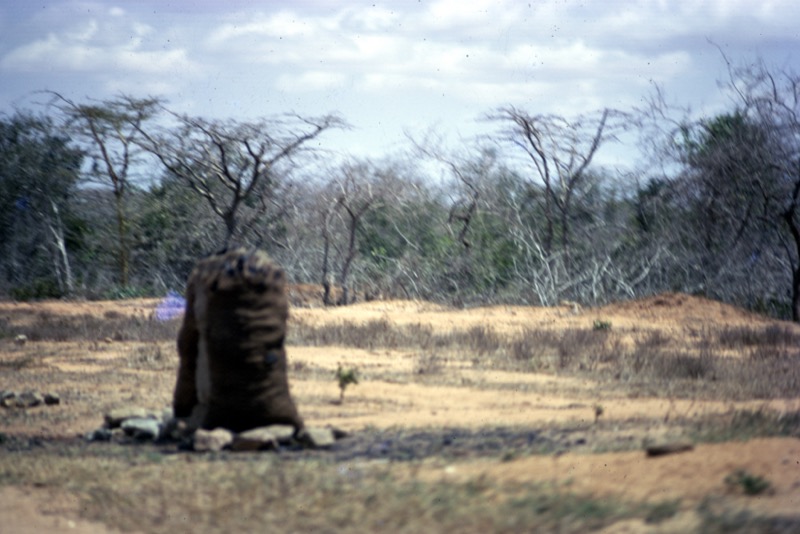 宮本常一 in kenya