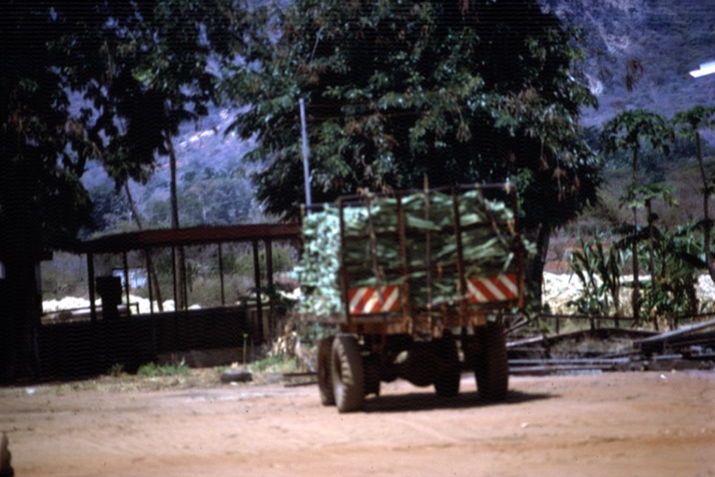 宮本常一 in kenya