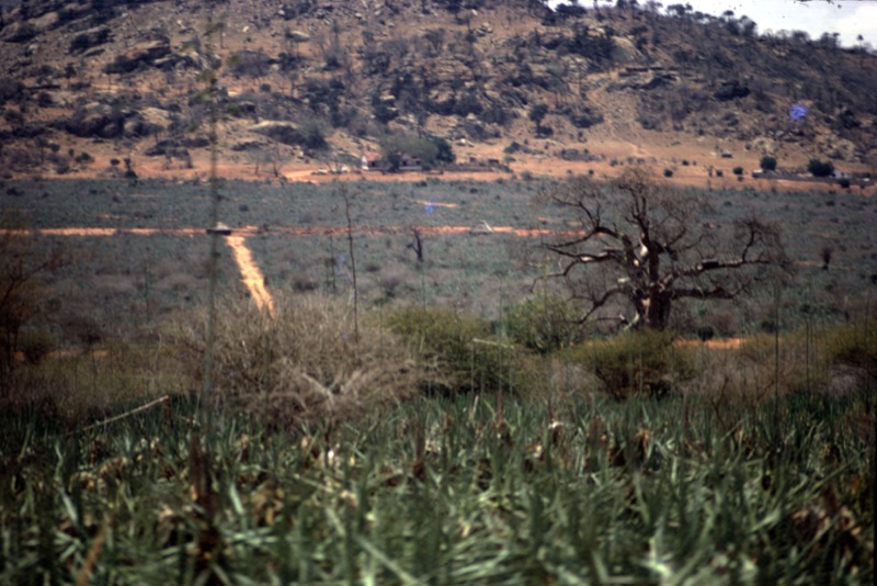 宮本常一 in kenya