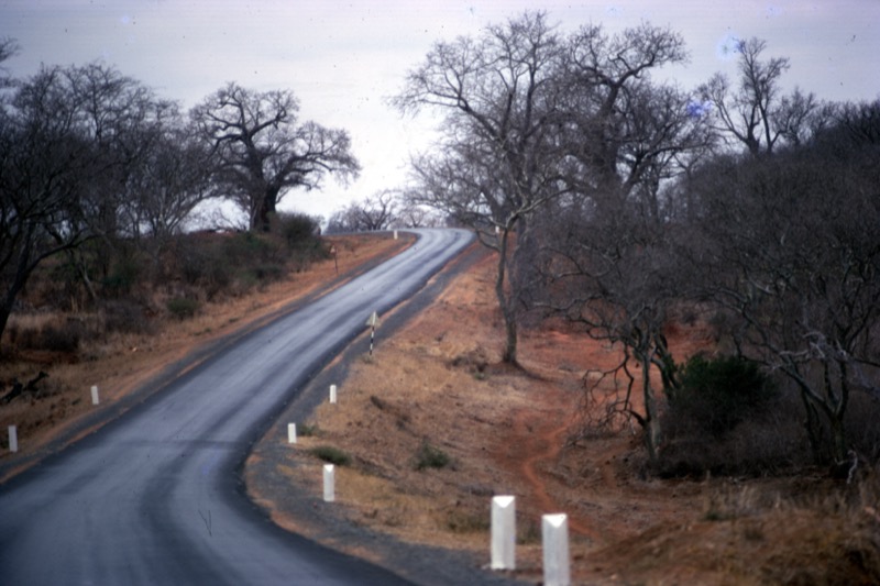 宮本常一 in kenya