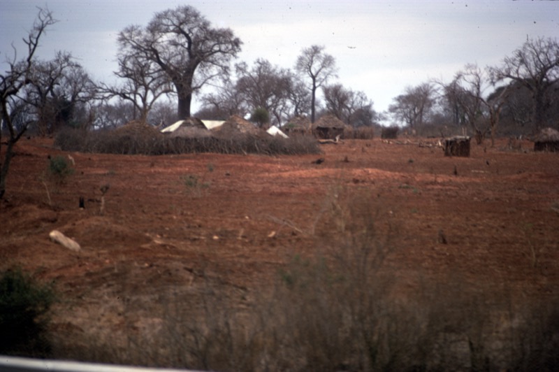 宮本常一 in kenya