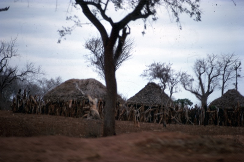 宮本常一 in kenya