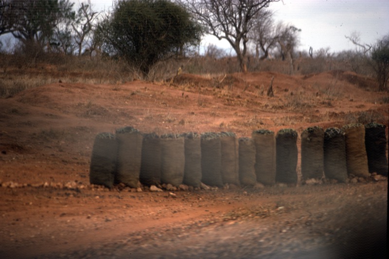 宮本常一 in kenya