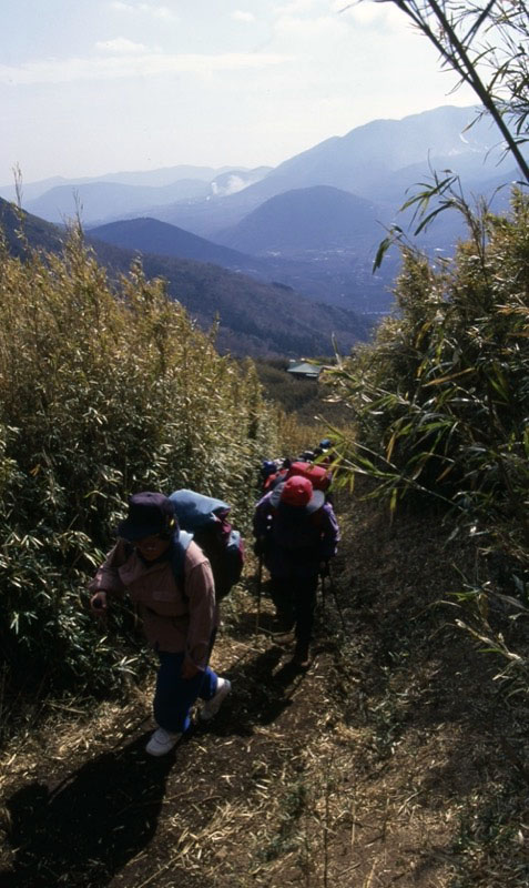 金時山
