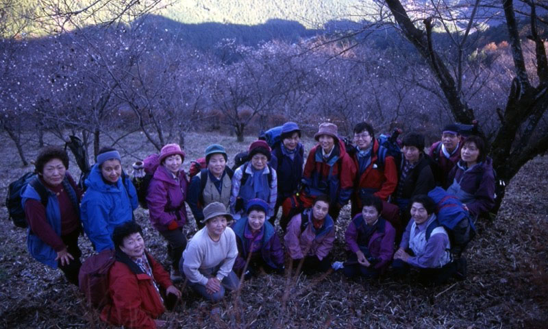 桜山、冬桜、モミジ、サザンカ、ツバキ