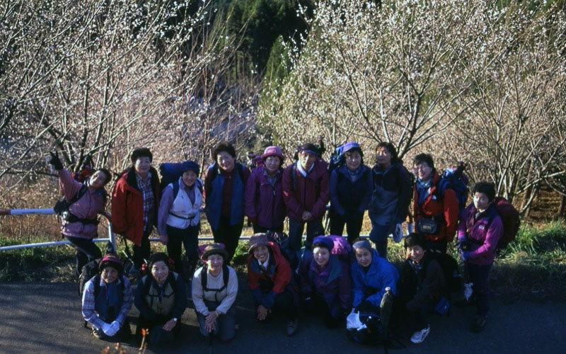 桜山、冬桜、モミジ、サザンカ、ツバキ