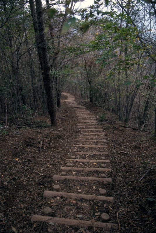 足和田山