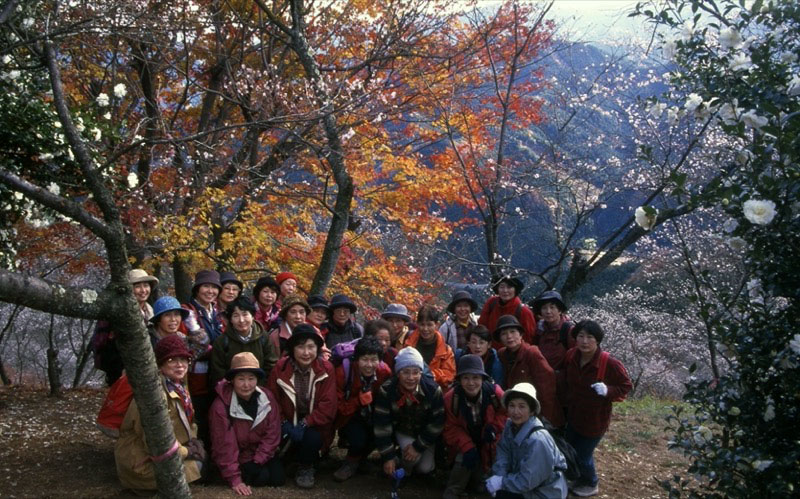 桜山、冬桜、モミジ、サザンカ、ツバキ