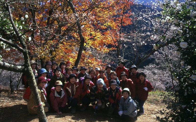 桜山、冬桜、モミジ、サザンカ、ツバキ