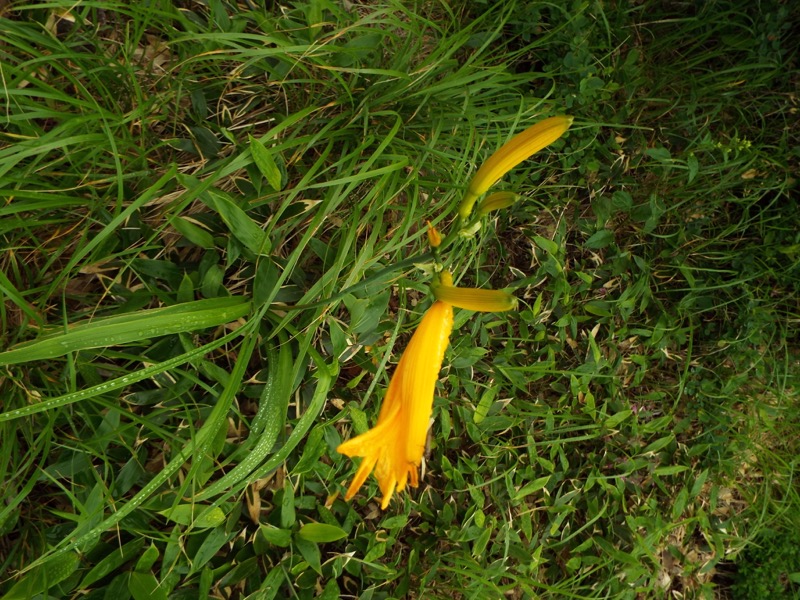 〓