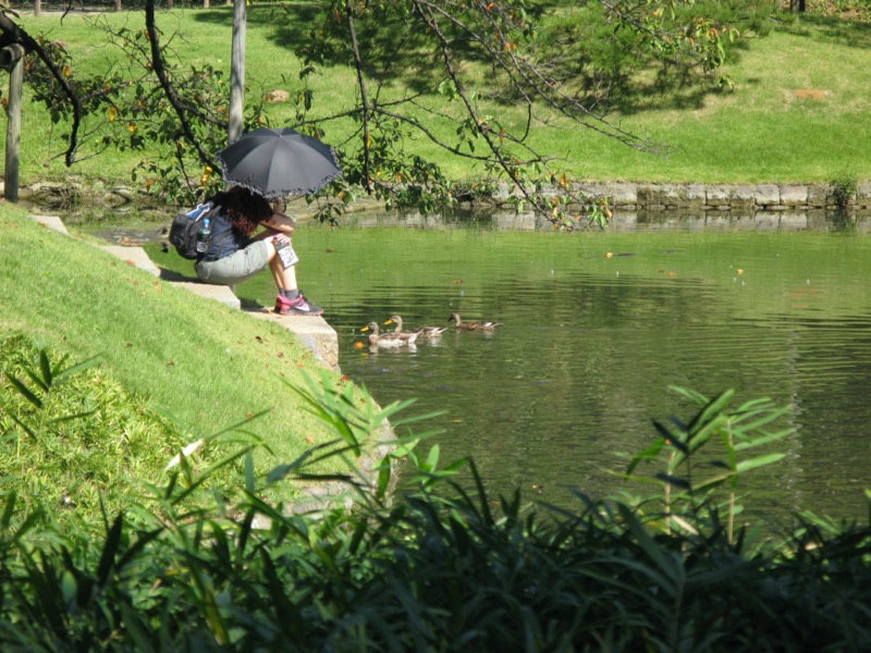 小石川後楽園