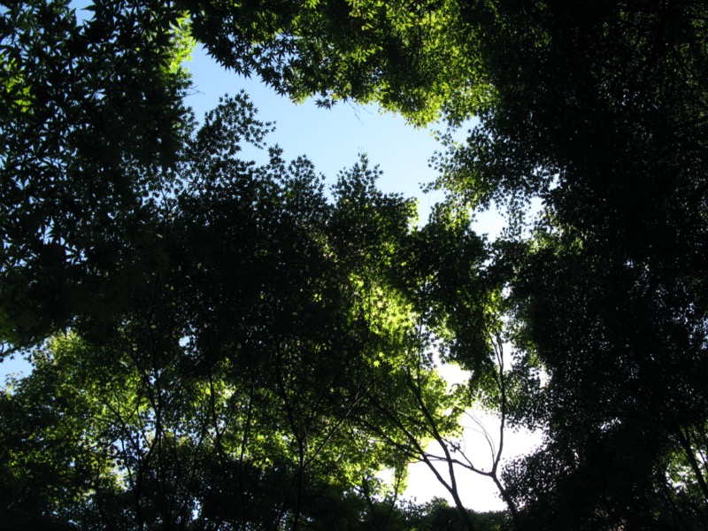 小石川後楽園