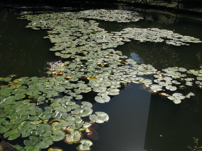 小石川後楽園