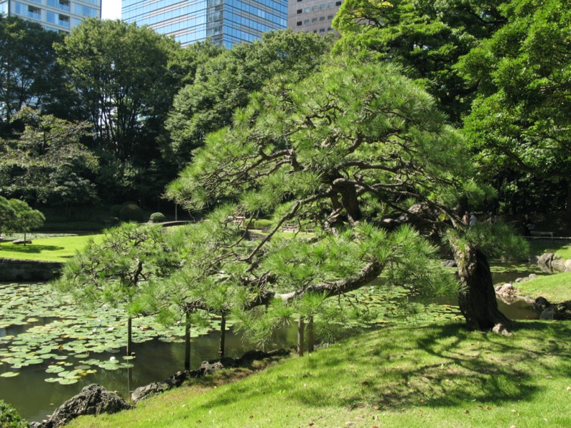 小石川後楽園