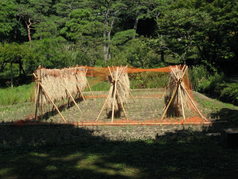 小石川後楽園