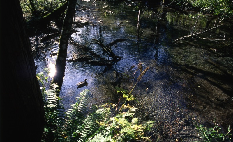 涸沢