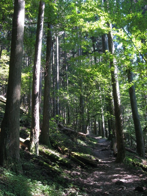 武甲山