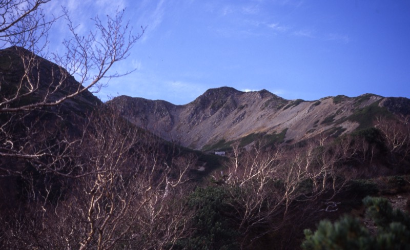 仙丈ヶ岳