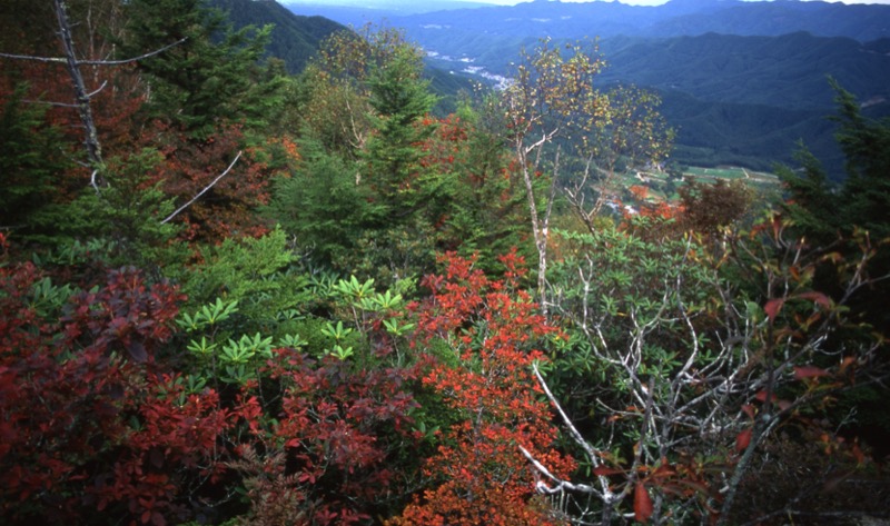 天狗山