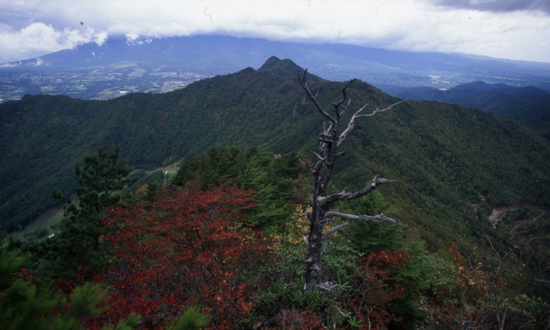 天狗山