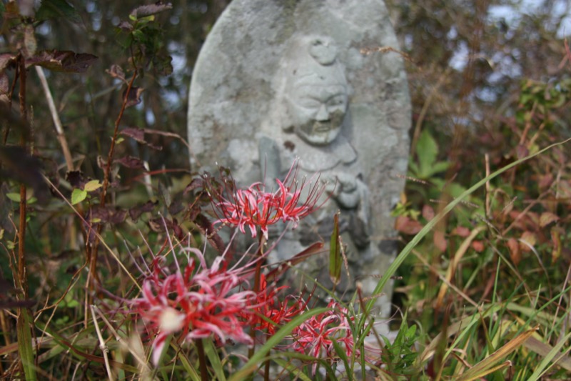 水沢山