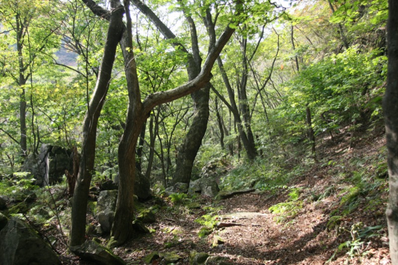 水沢山