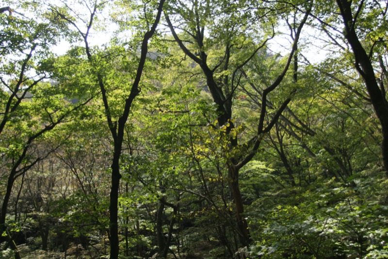 水沢山