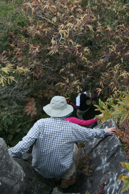 水沢山