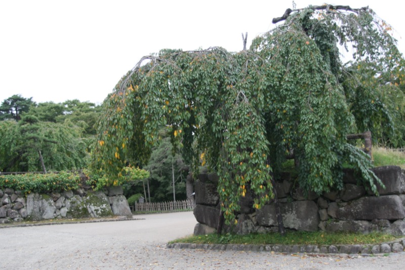 岩木山