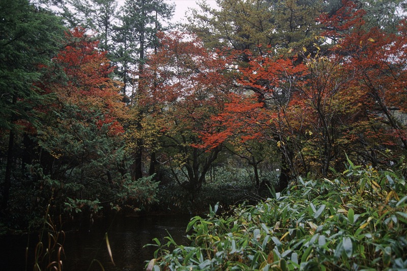 鶏頂山