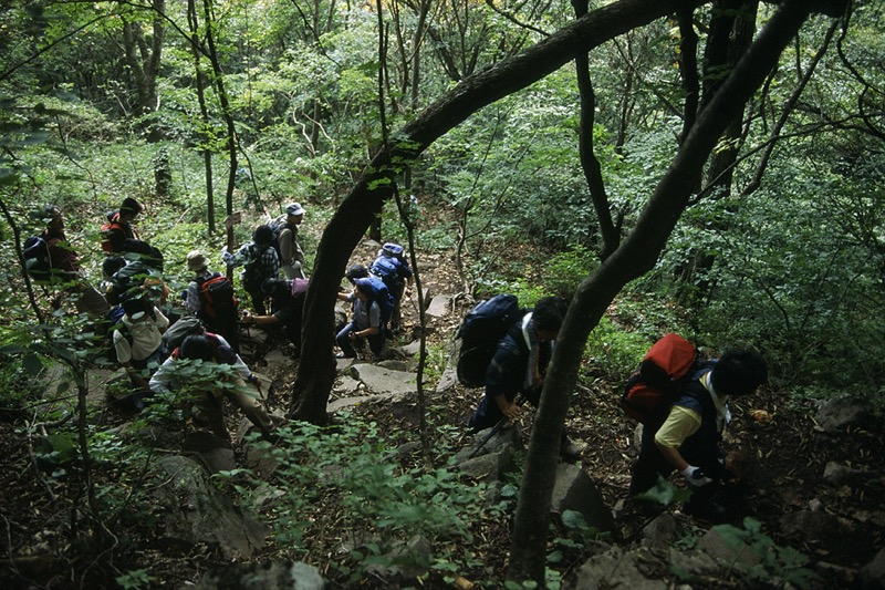 茅ヶ岳