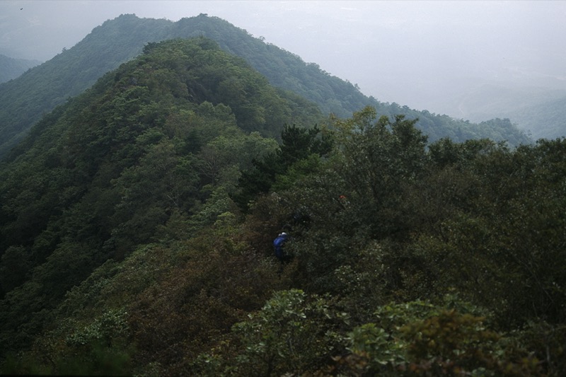 茅ヶ岳