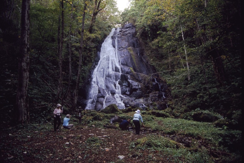 栗駒山