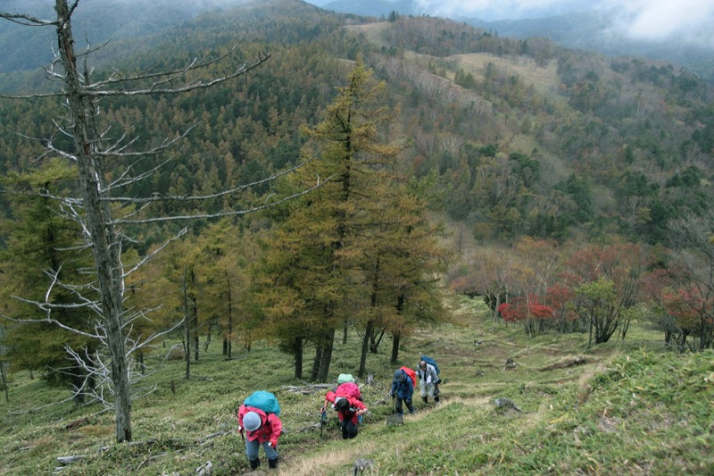 笠取山