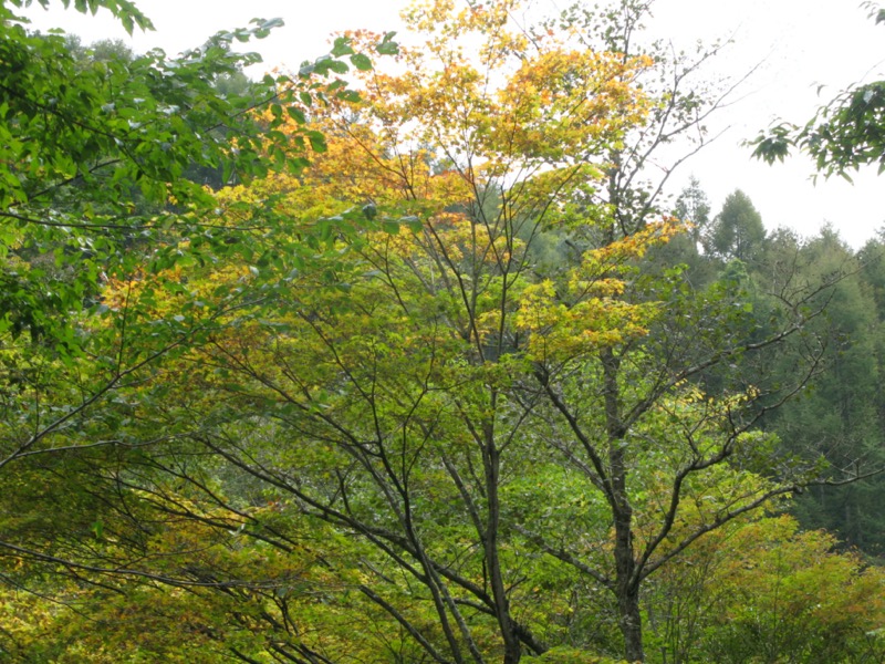 飯盛山