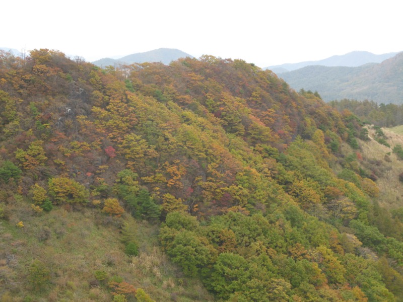 飯盛山