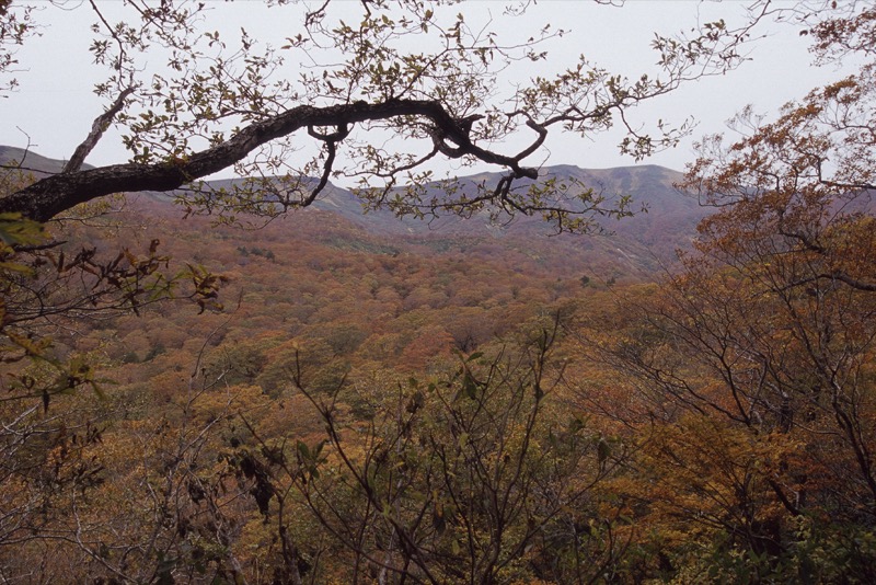 栗駒山