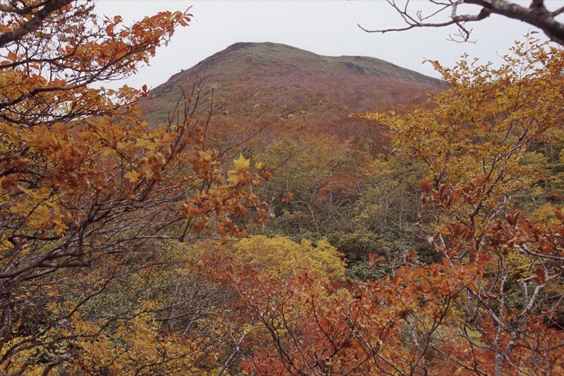 栗駒山