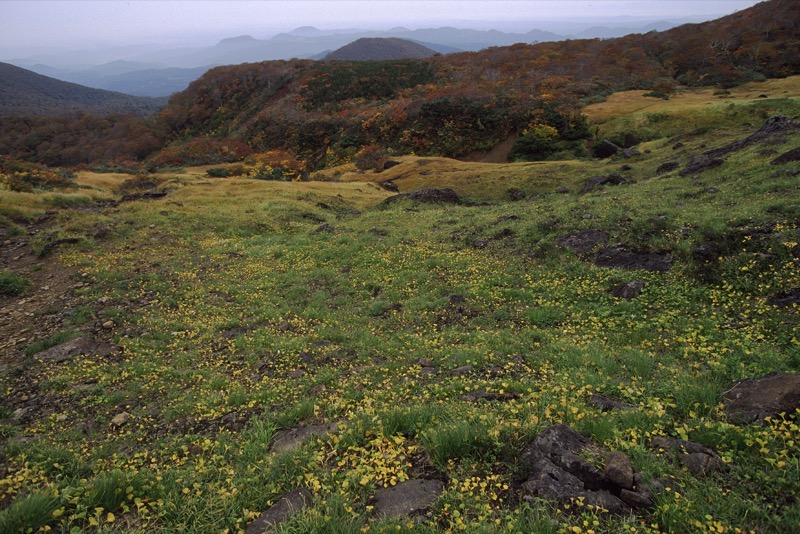 栗駒山