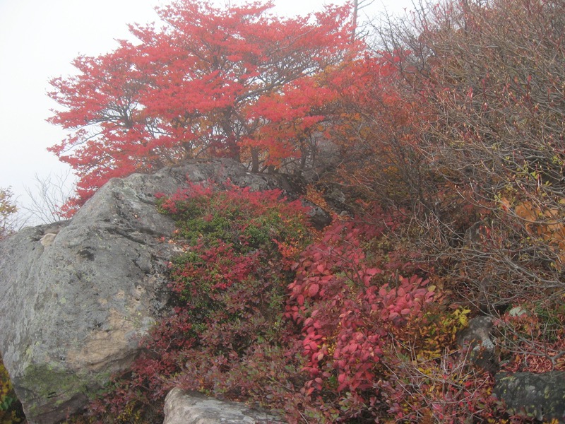 湯ノ丸山