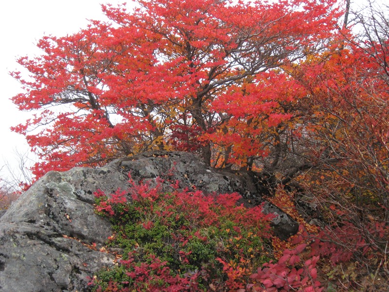 湯ノ丸山