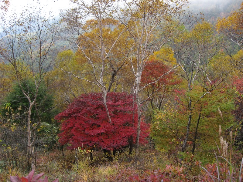 湯ノ丸山