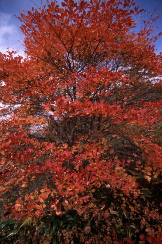 湯ノ丸山