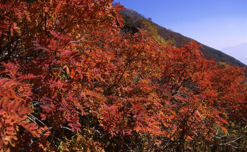 木曽駒ヶ岳