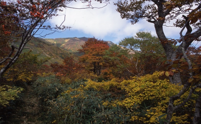 栗駒山