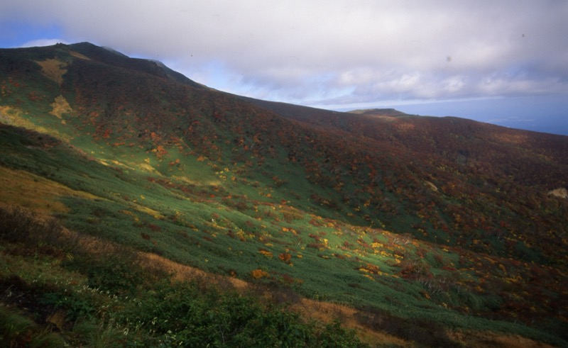 栗駒山