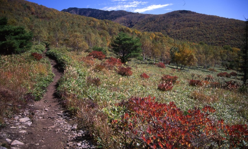 四阿山