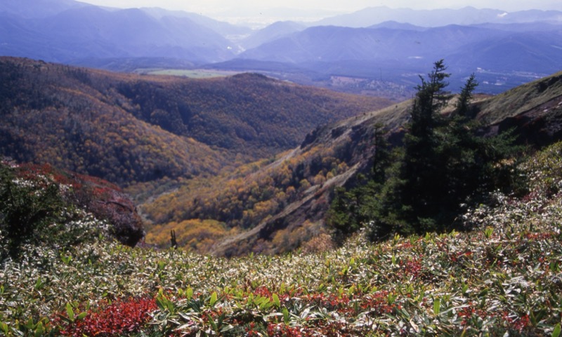 四阿山